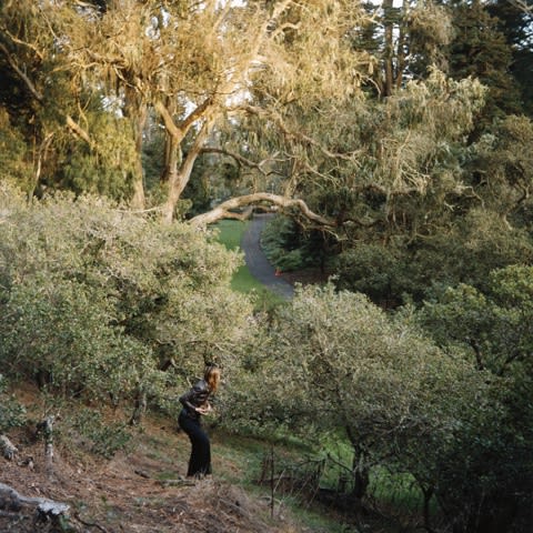 Michel de Broin + Eve K. Tremblay, Honeymoon SF2 (cones), 2003, C-Print, edition of 5