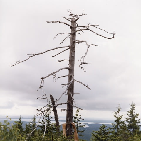 Michel de Broin + Eve K. Tremblay, Honeymoon APM (heights), 2003, C-Print, edition of 5