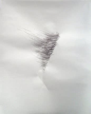 Karilee Fuglem, Dessin de la série « Connective tissue », 2005, encre et eau sur vélin, 28 x 21.5 cm