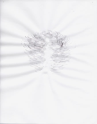 Karilee Fuglem, Dessin de la série « Connective tissue », 2005, encre et eau sur vélin, 28 x 21.5 cm