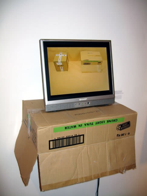 Adad Hannah, Premonition of a Small Catastrophe, 2006, DVD vidéo, edition de 10