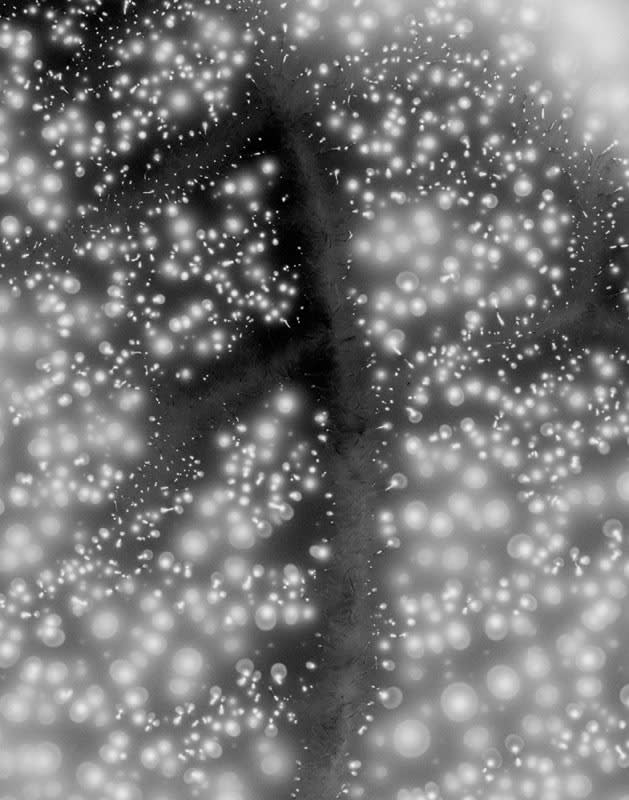 Marie-Jeanne Musiol, Miroir du cosmos # 11, 2006, impression numérique sur film transparent, 43 x 36 cm, édition de 7