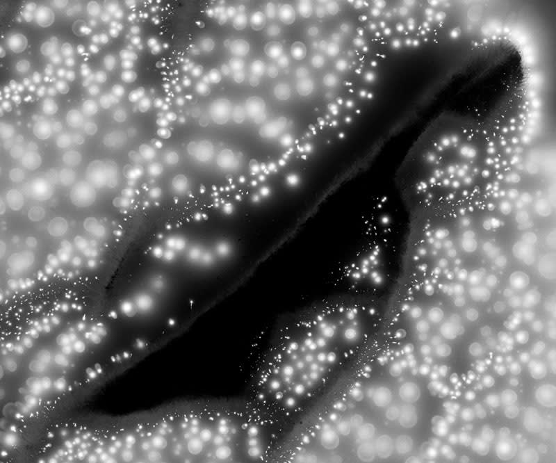 Marie-Jeanne Musiol, Miroir du cosmos # 12, 2006, impression numérique sur film transparent, 58 x 68 cm, édition de 7