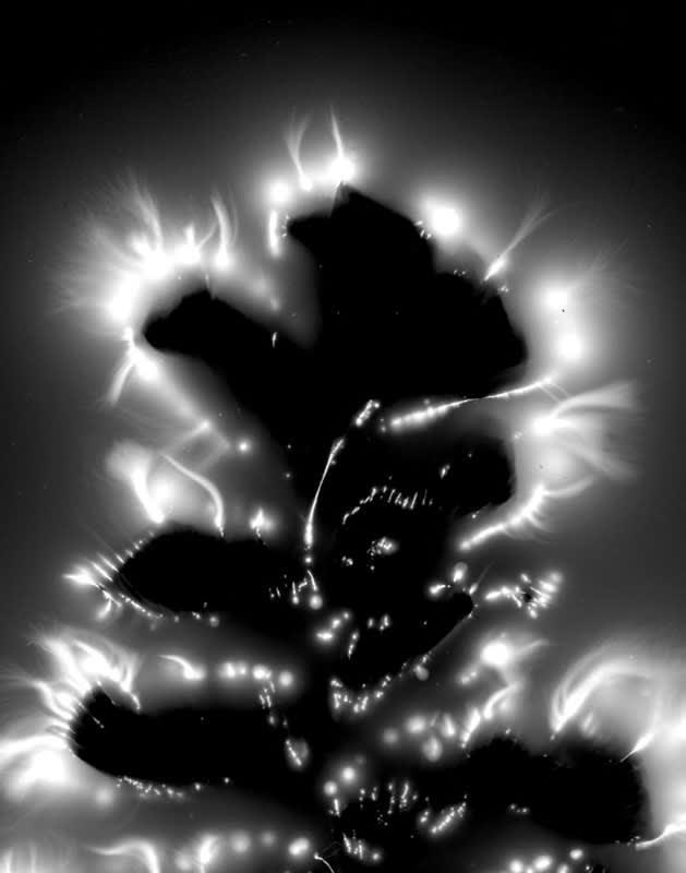 Marie-Jeanne Musiol, Miroir du cosmos # 13, 2006, impression numérique sur film transparent, 58 x 68 cm, édition de 7