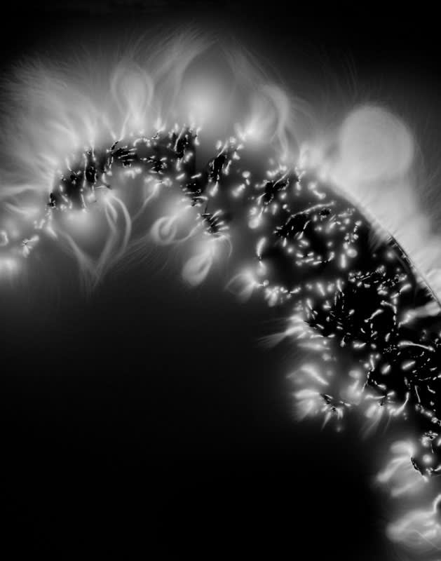 Marie-Jeanne Musiol, Miroir du cosmos # 9, 2006, impression numérique sur film transparent, 43 x 36 cm, édition de 7