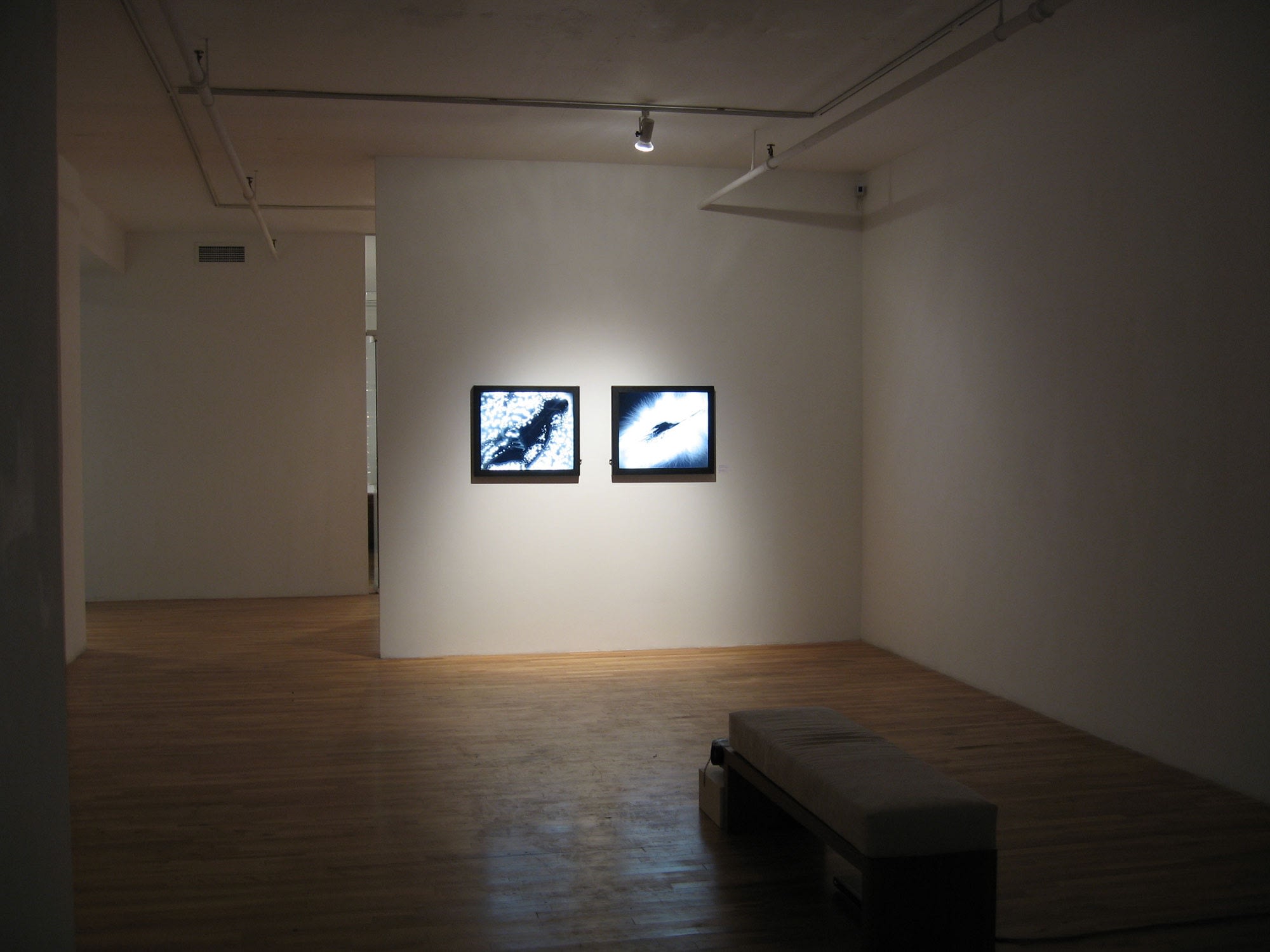 Marie-Jeanne Musiol: Miroirs du cosmos