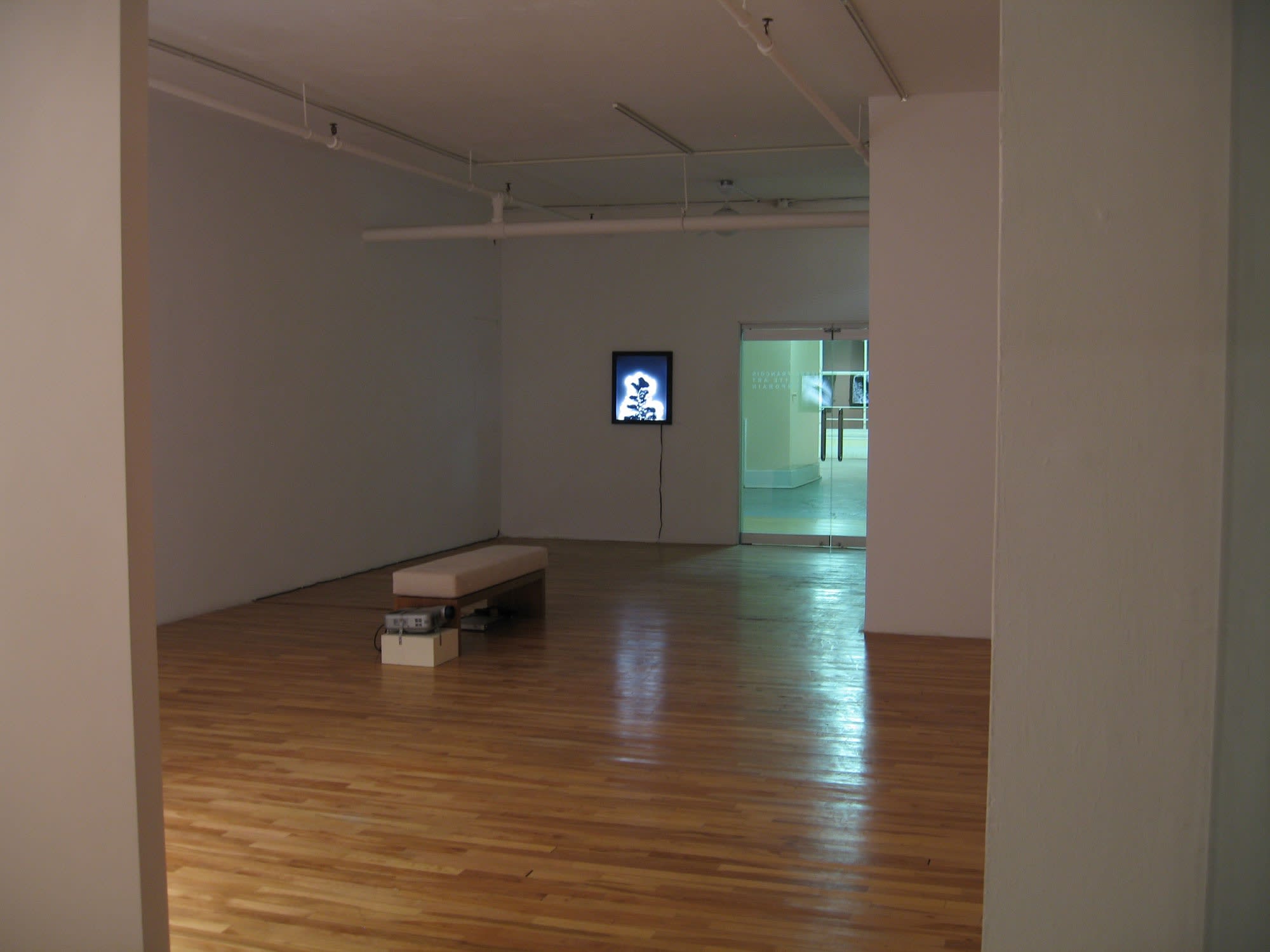 Marie-Jeanne Musiol: Miroirs du cosmos