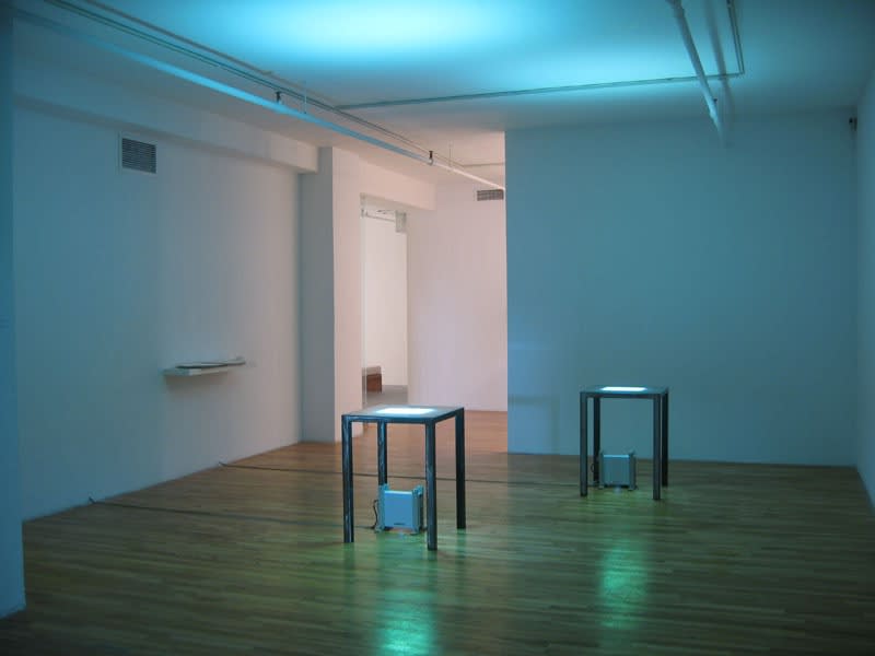 Annie Thibault: Apprivoisements fugaces