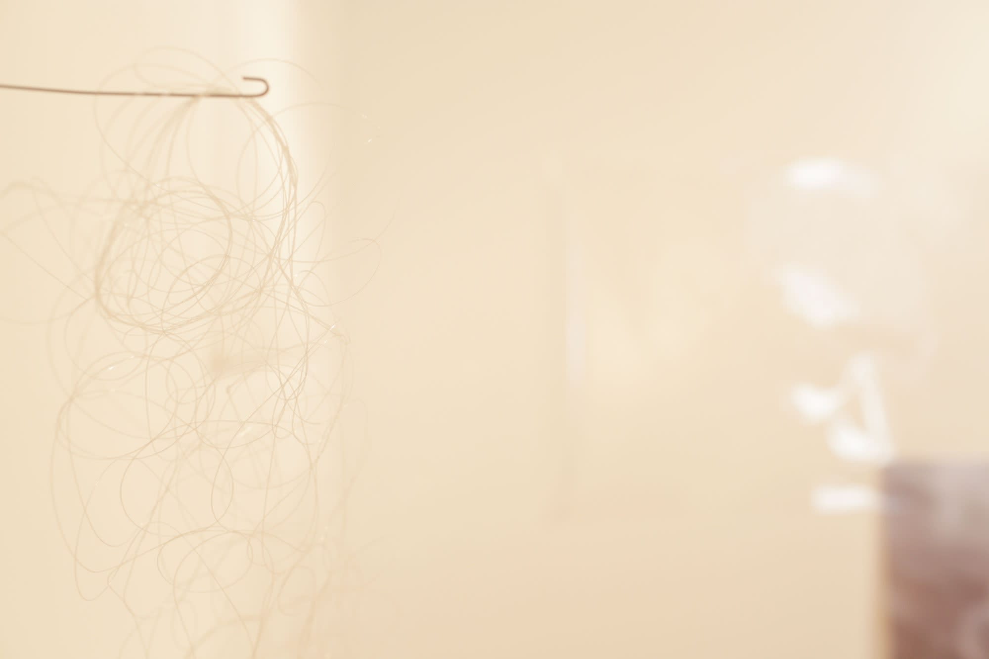 Karilee Fuglem : Everything held together (pour l'instant)