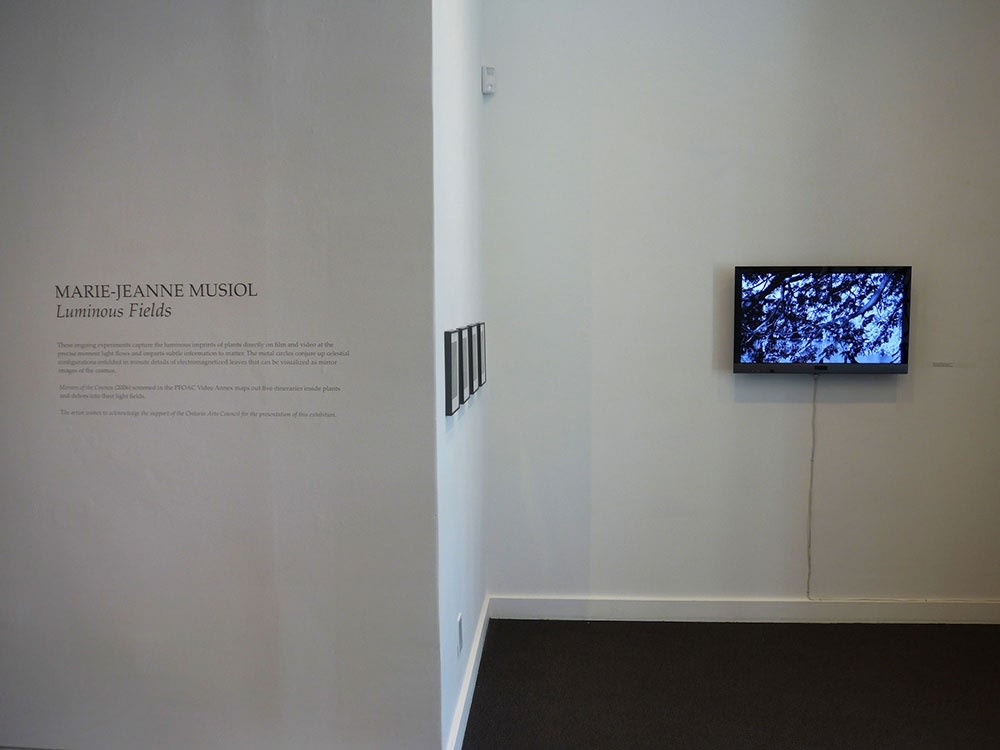 Marie-Jeanne Musiol @ Centre Space (Toronto)