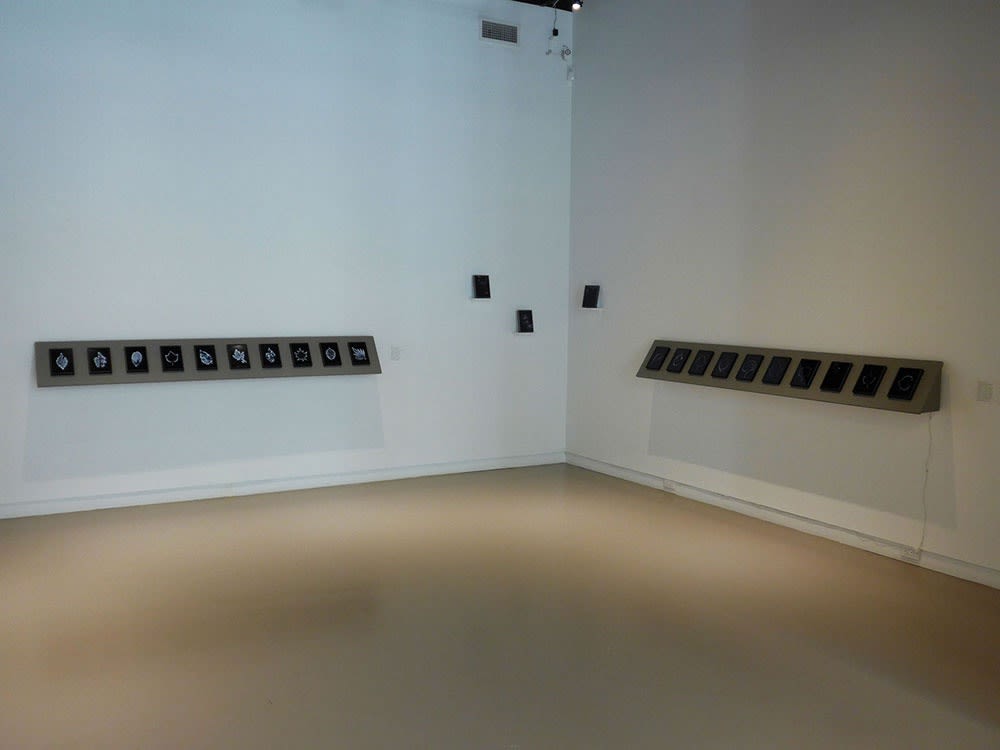 Marie-Jeanne Musiol @ Centre Space (Toronto)