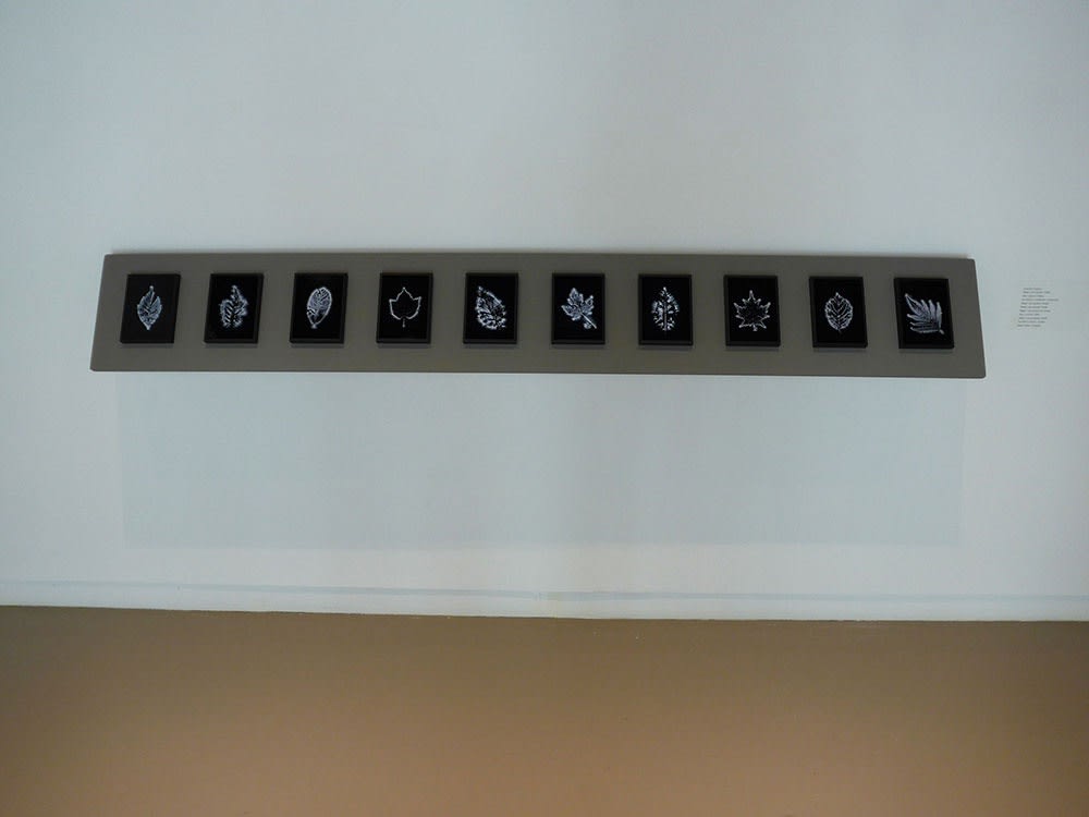 Marie-Jeanne Musiol @ Centre Space (Toronto)