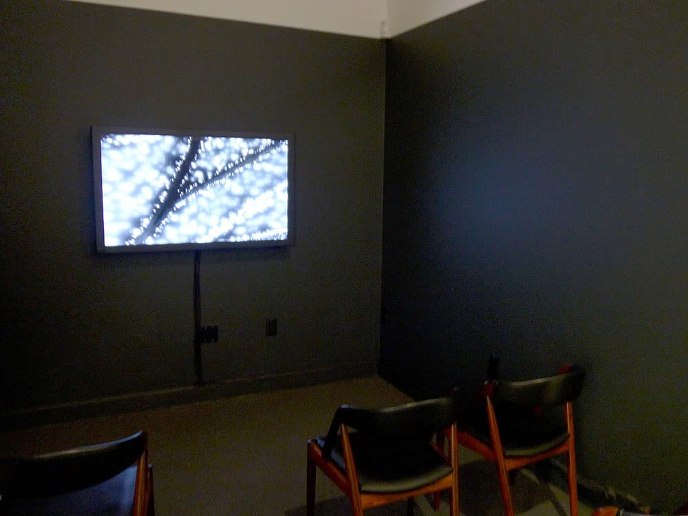 Marie-Jeanne Musiol @ Centre Space (Toronto)