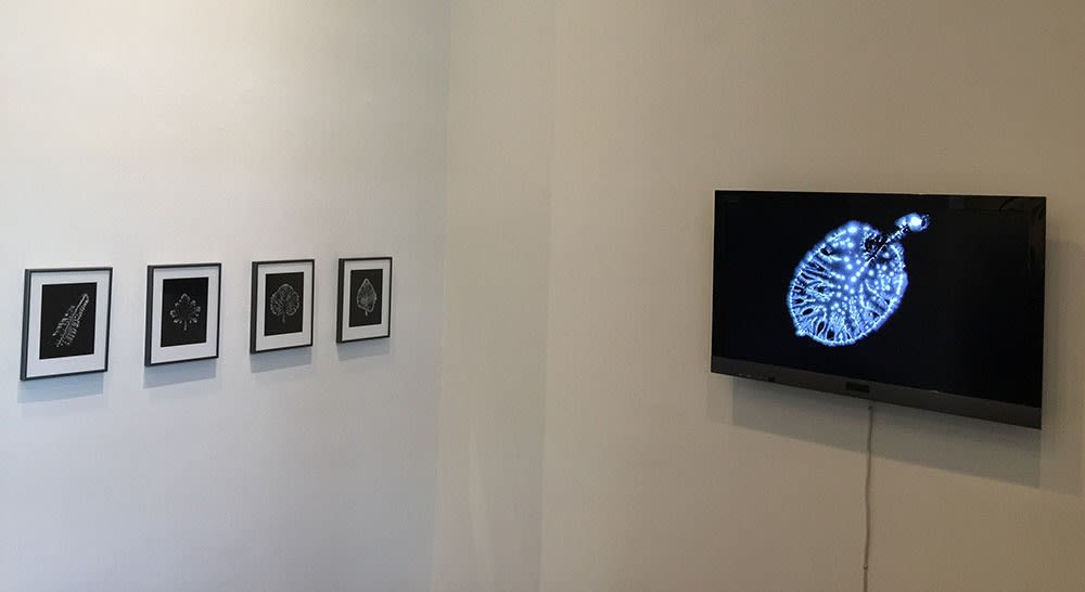 Marie-Jeanne Musiol @ Centre Space (Toronto)