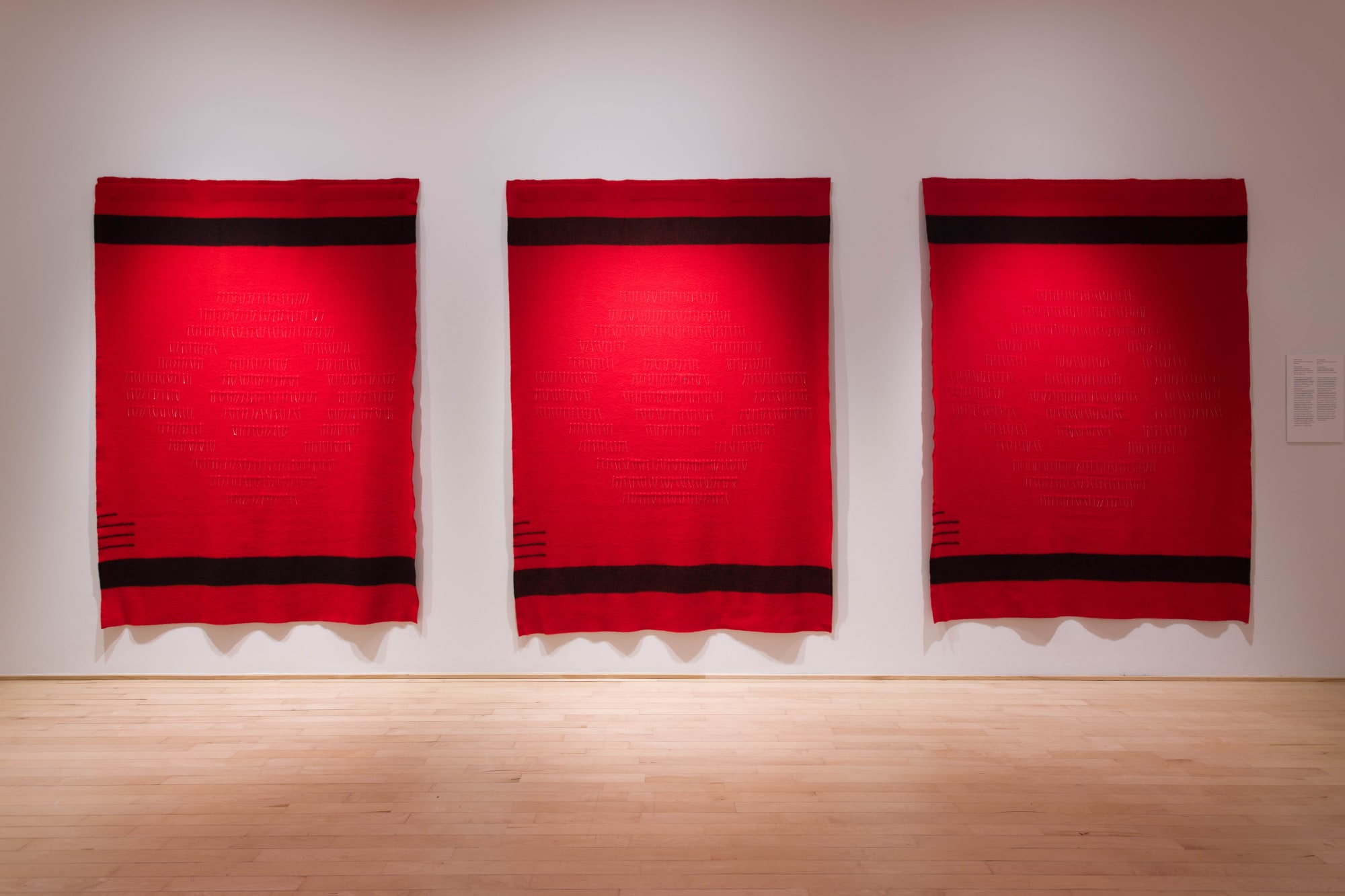 5e Biennale d’art contemporain autochtone (BACA 2020)