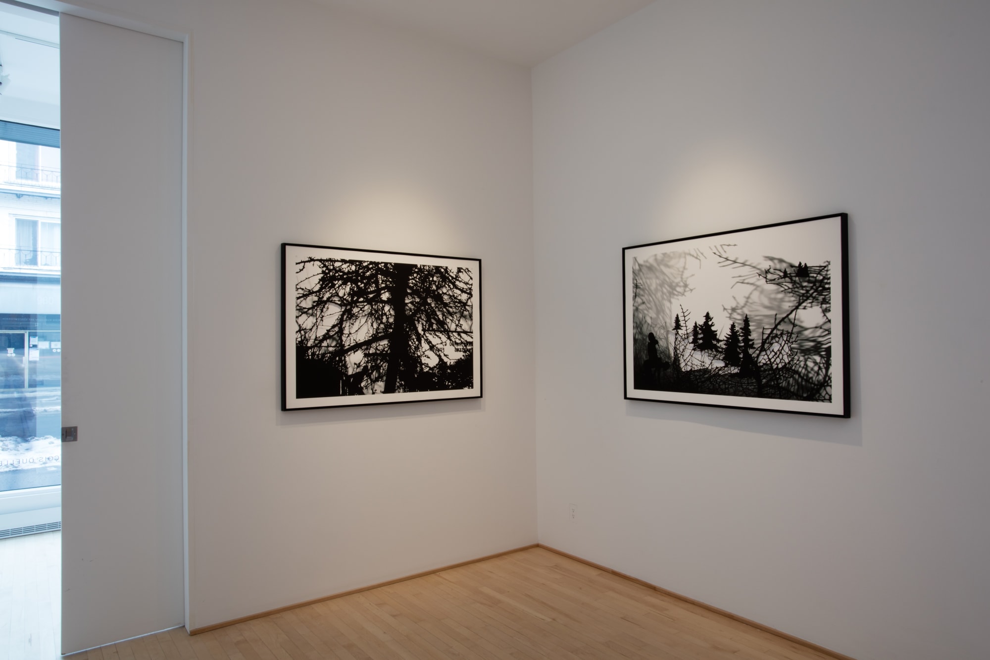 Ed Pien: Somnambules