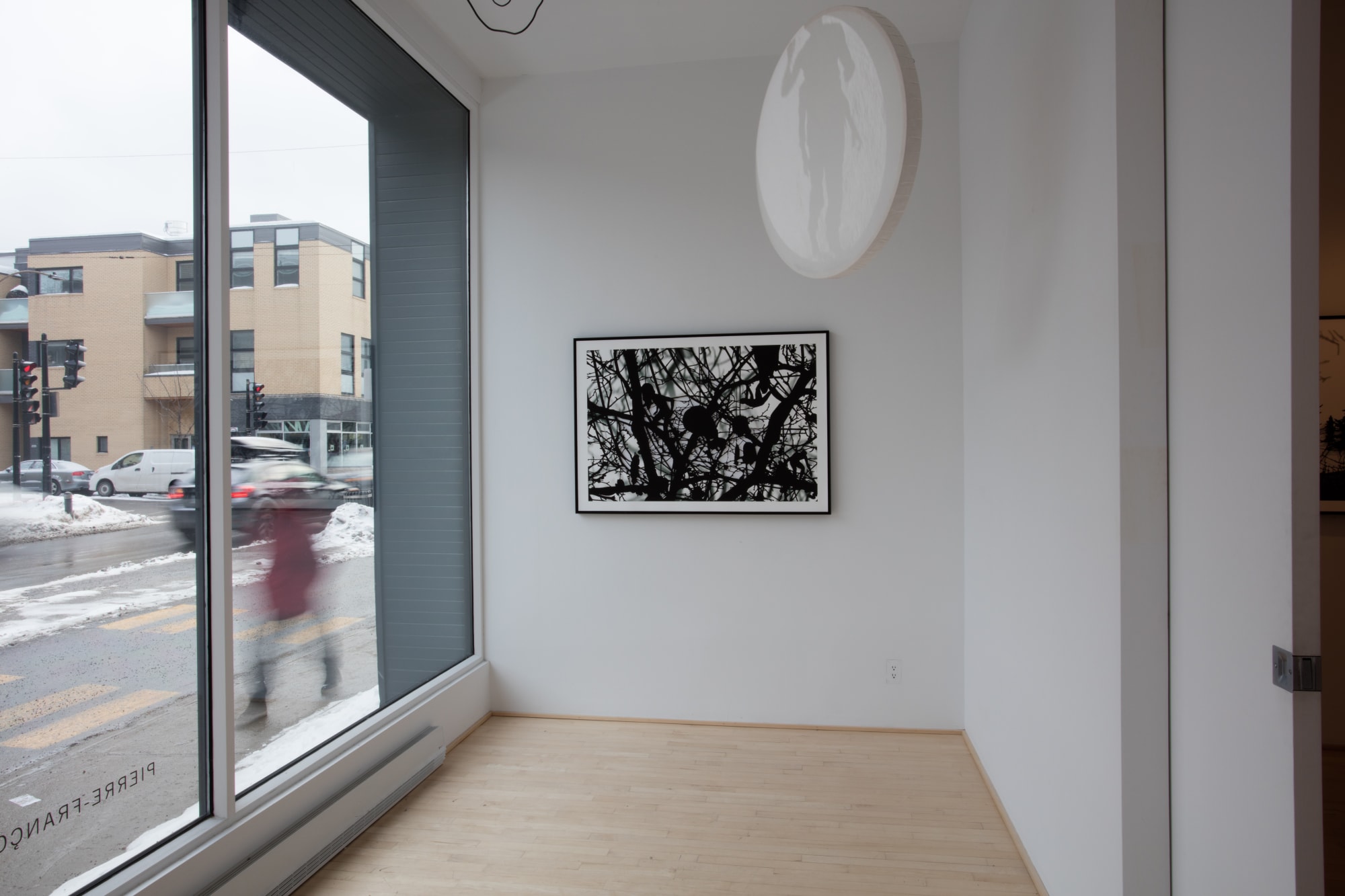 Ed Pien: Somnambules