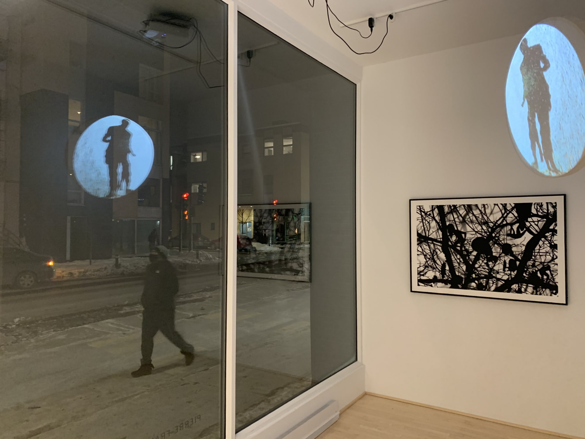 Ed Pien: Somnambules