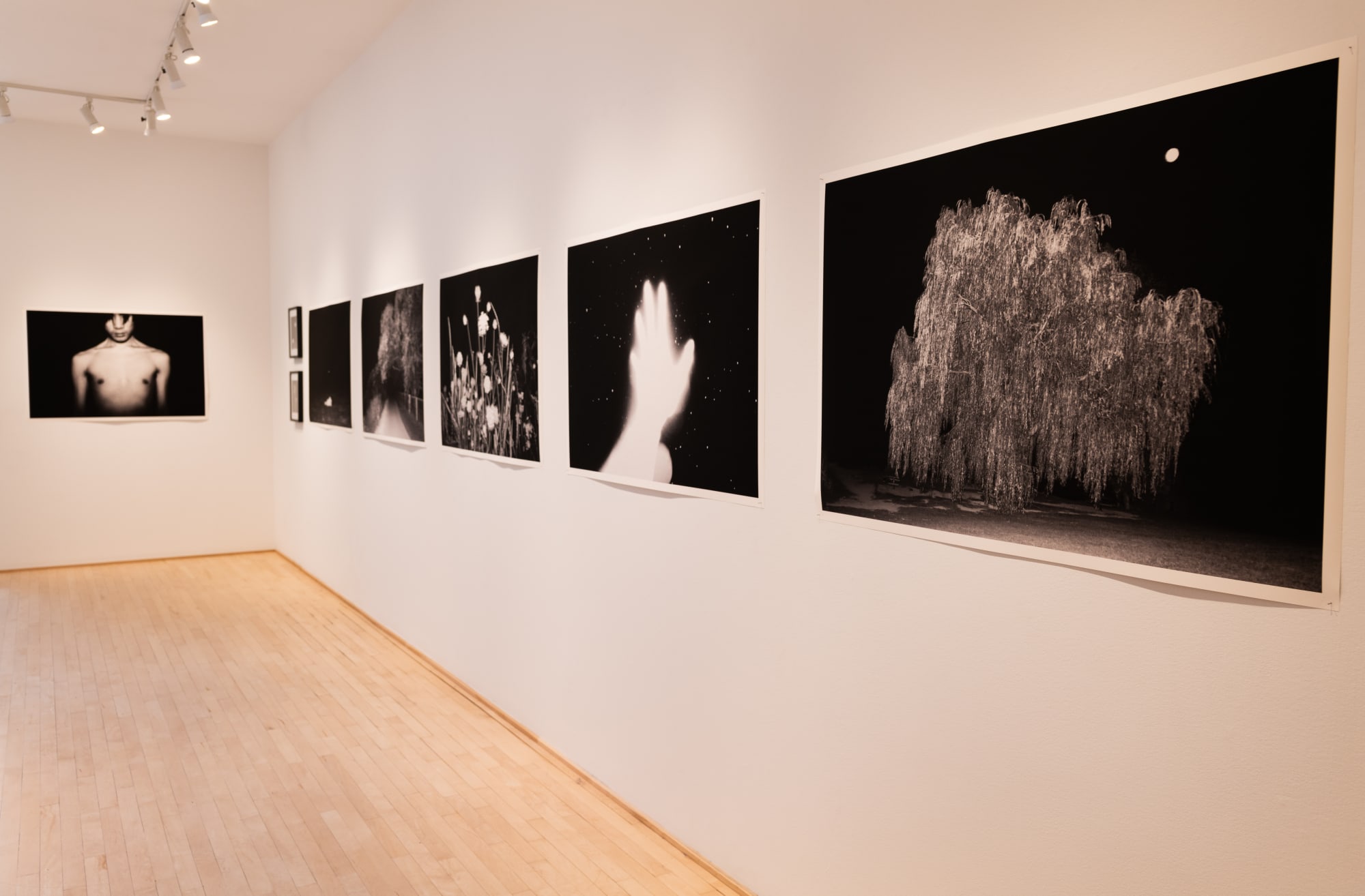 Quang Hai Nguyen (photos)