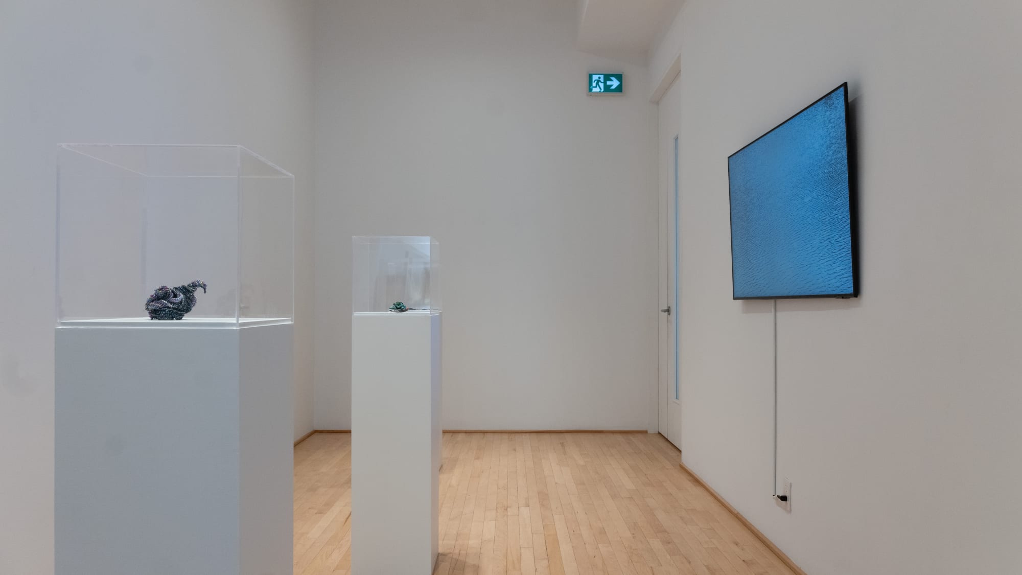 Craig Commanda: REAL/UNREAL