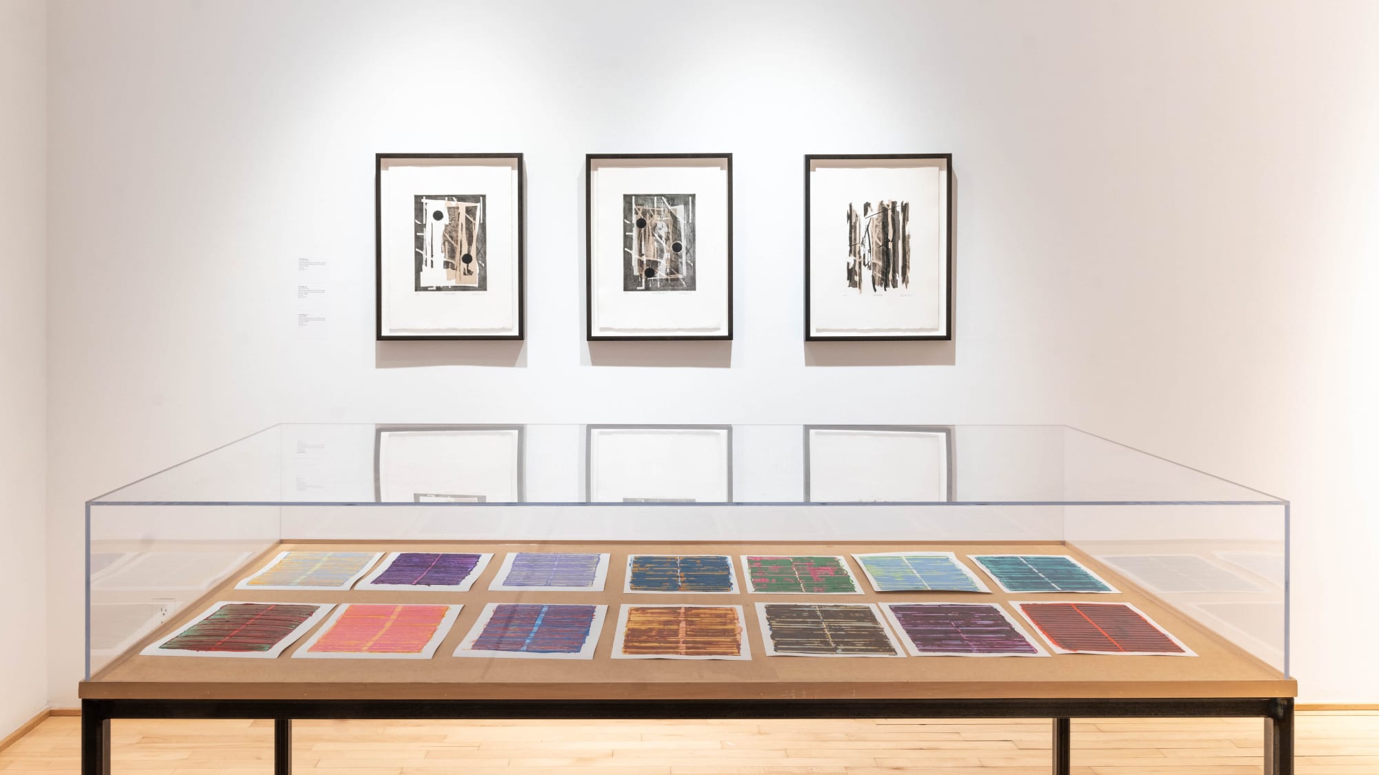 CONSERVATORIUM, une exposition de Dil Hildebrand