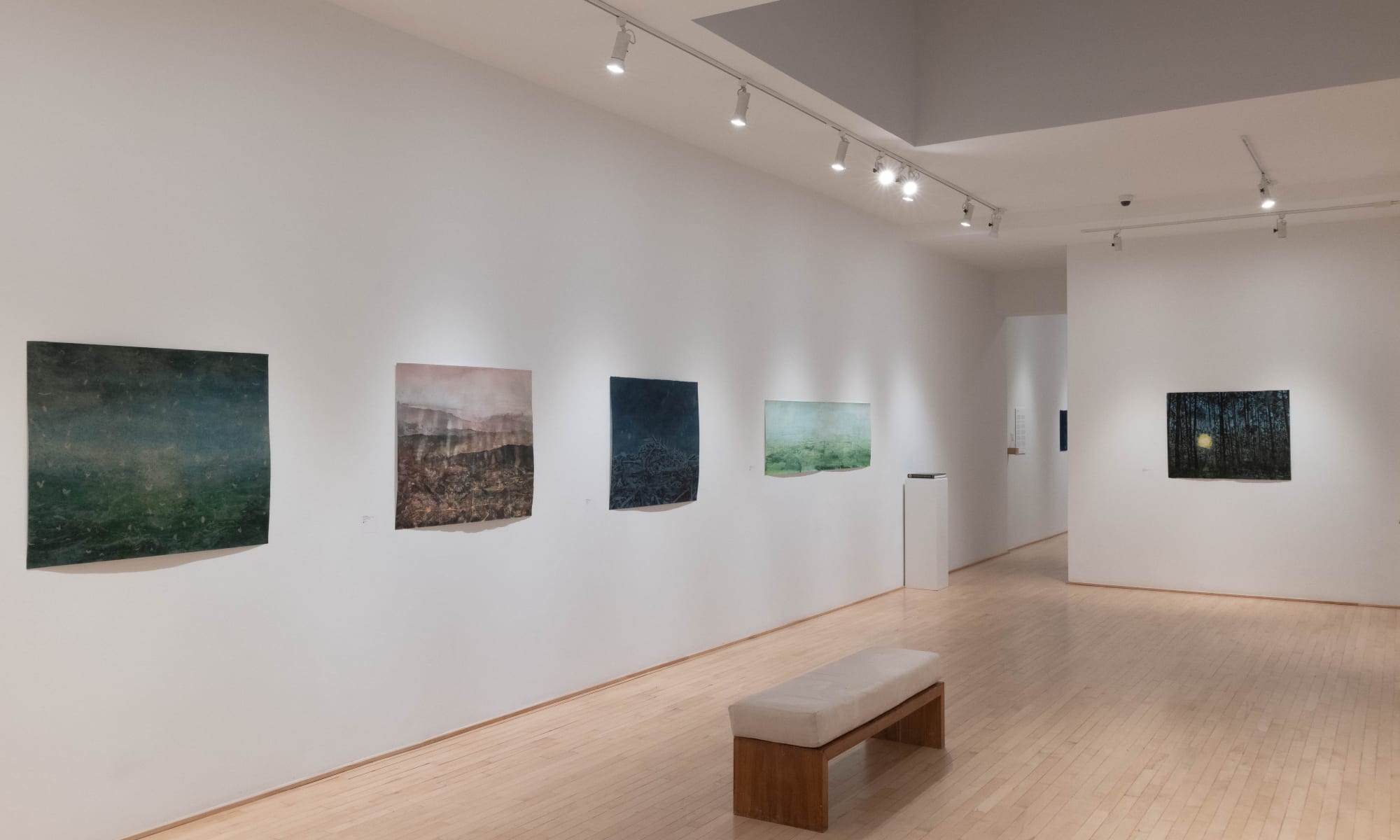 Livre des miracles, une exposition de Ripley Whiteside