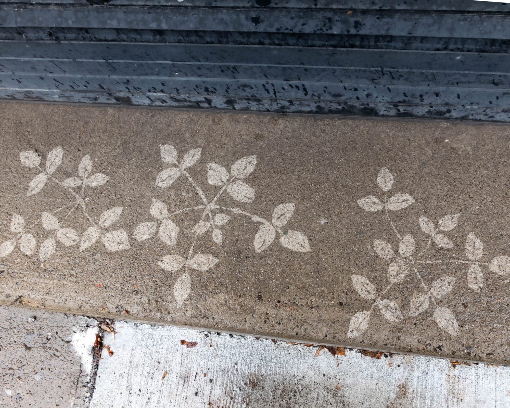 Loren Williams: Boisé bleu