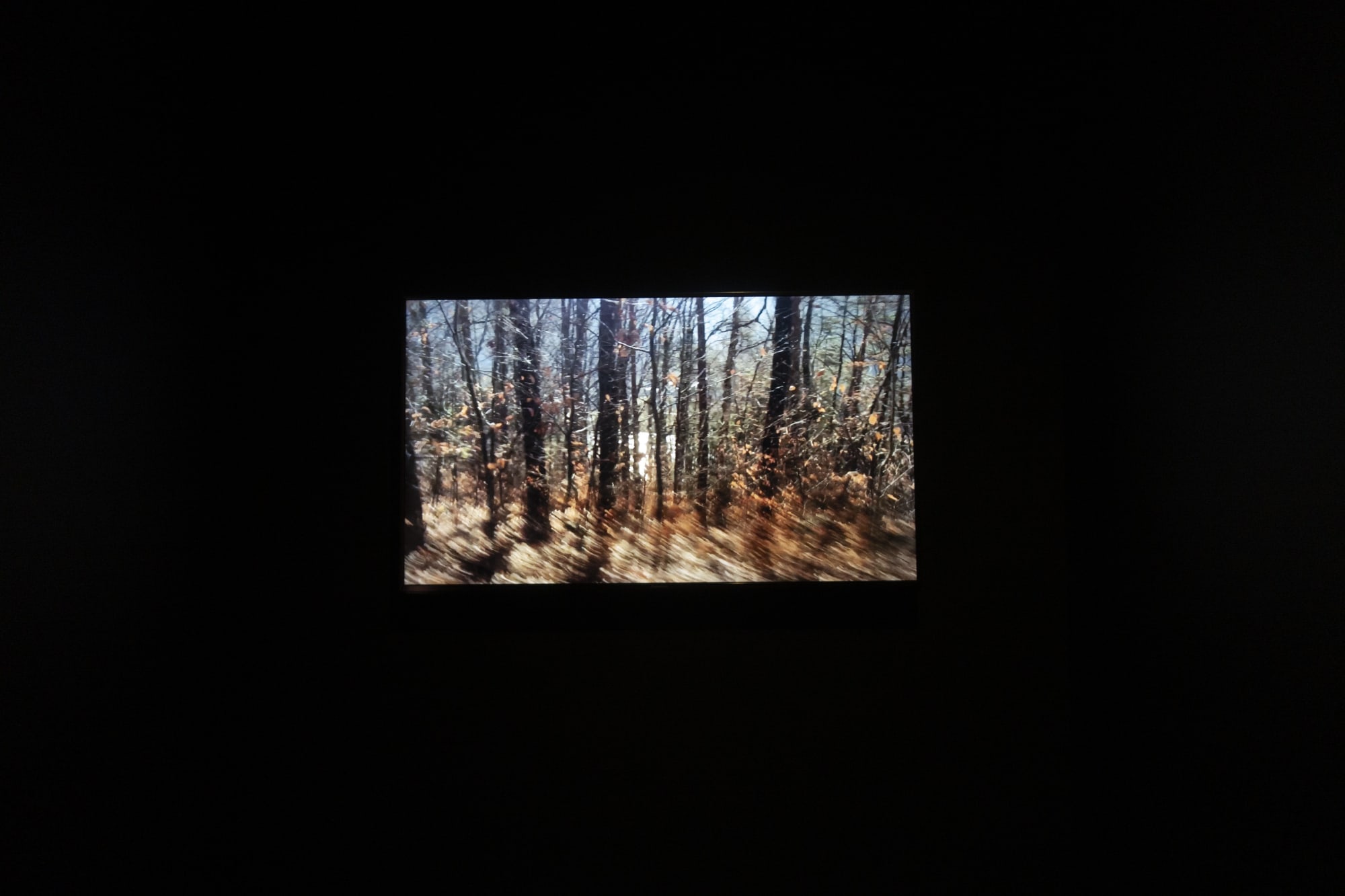 Chih-Chien Wang: Lac bleu, terre rose, sphère rapiécée, plaie fraîche