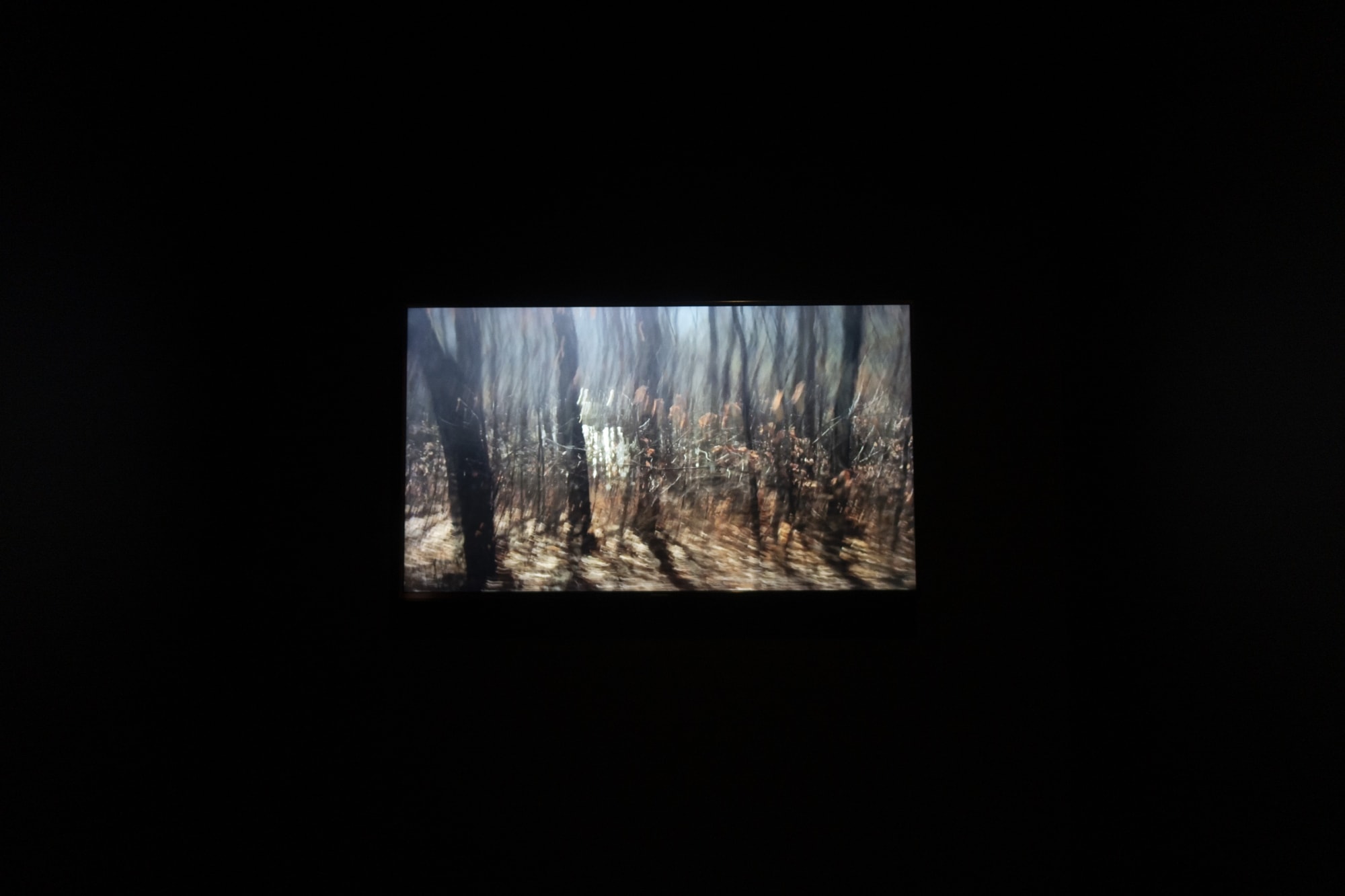 Chih-Chien Wang: Lac bleu, terre rose, sphère rapiécée, plaie fraîche