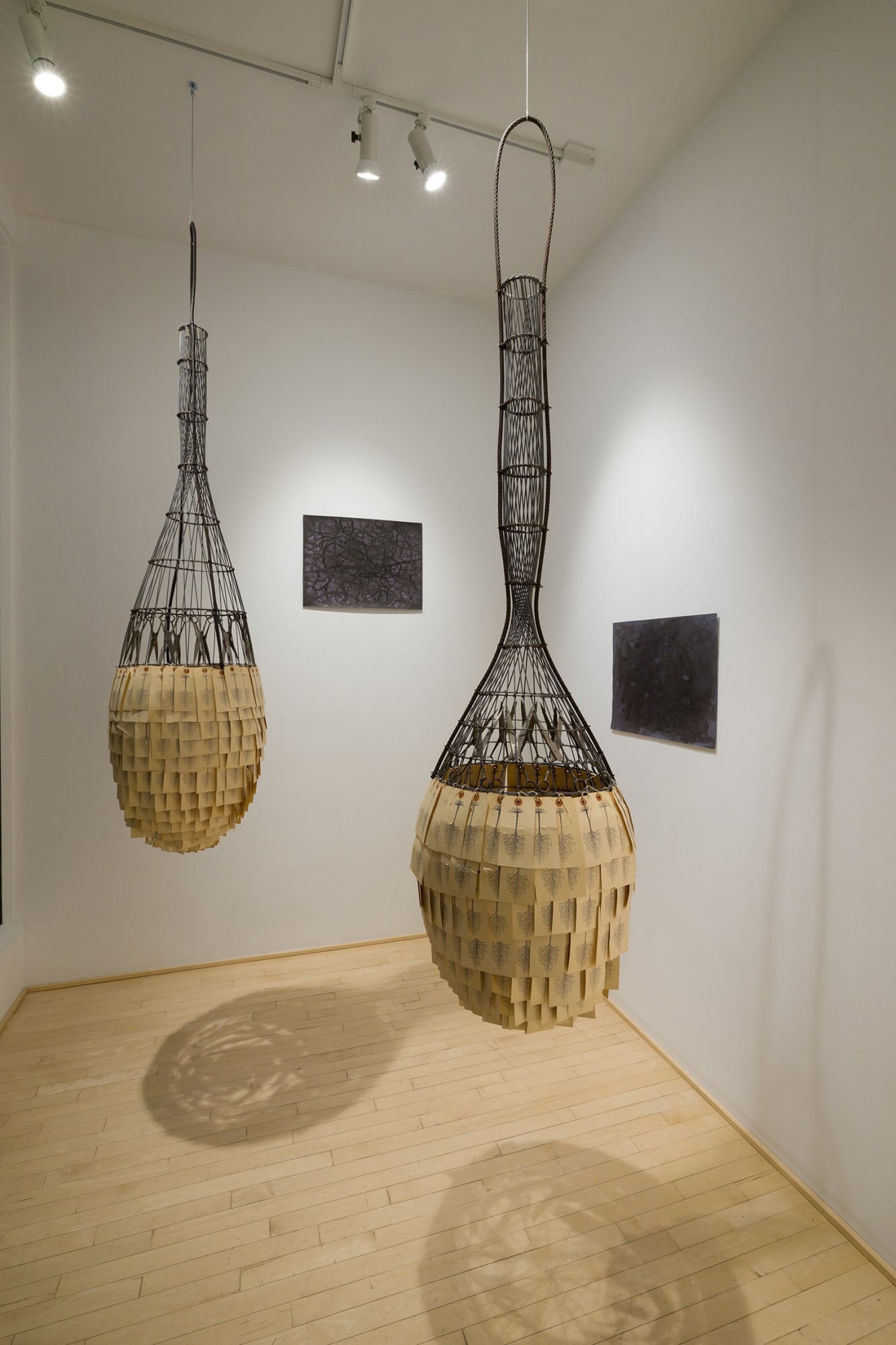 Eaux mélangées: Ed Pien + François Morelli