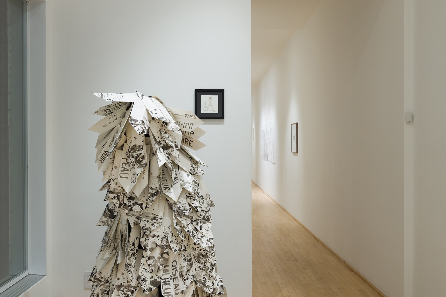 Où l’écho précède la voix