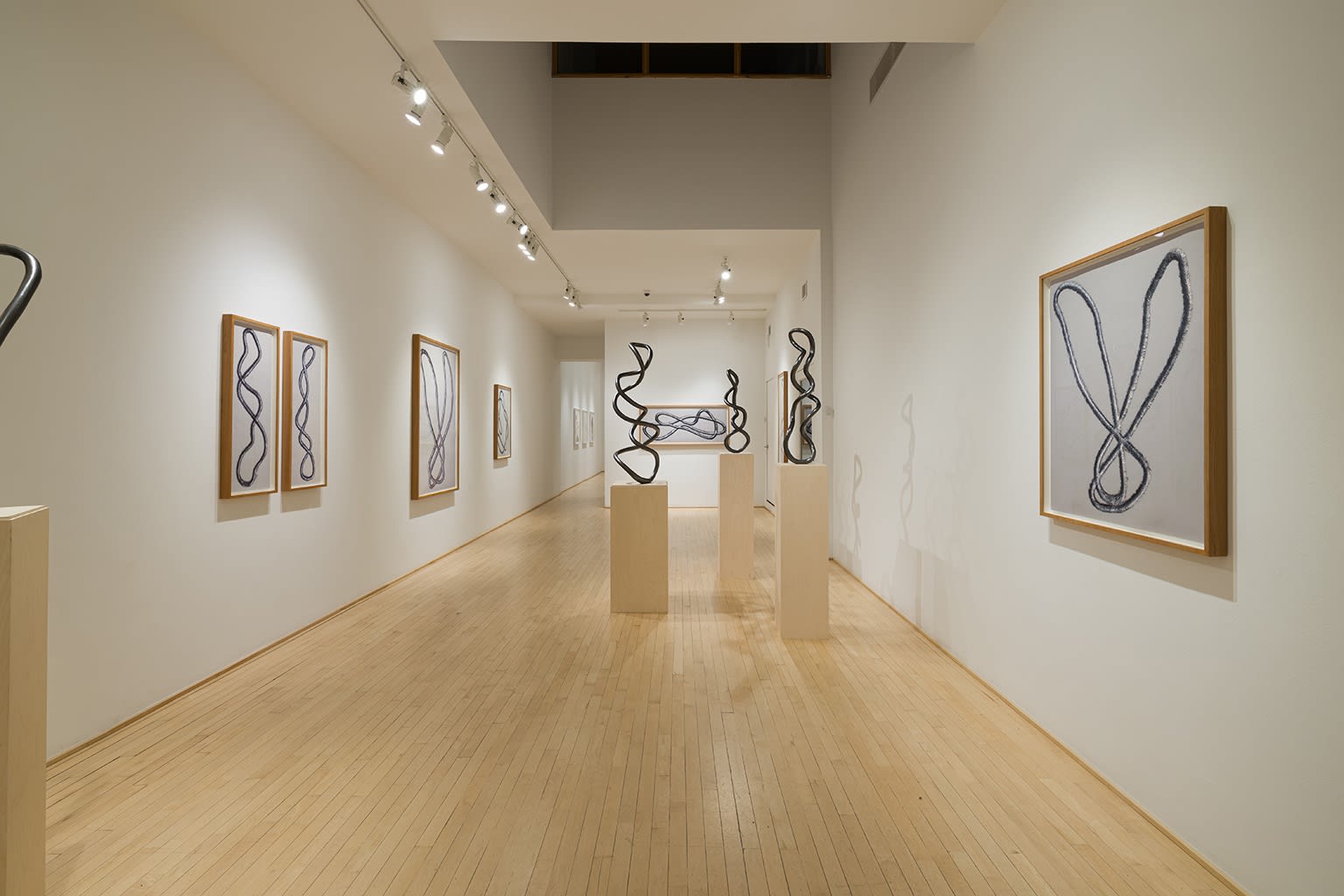 Roberto Pellegrinuzzi: TRAJECTOIRES