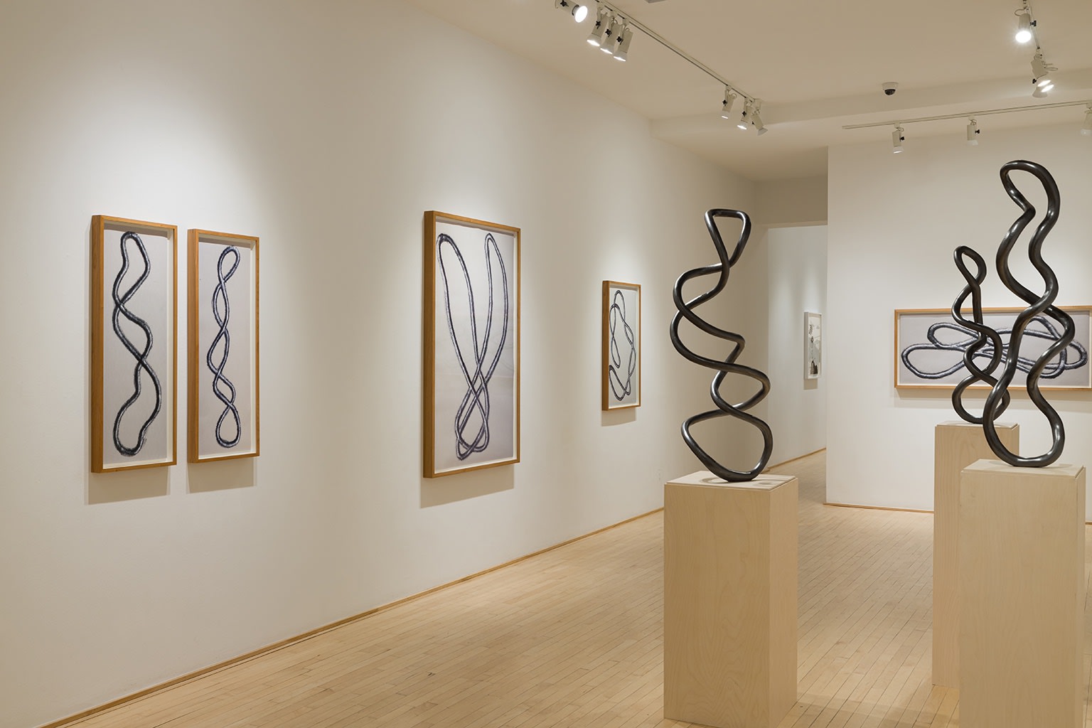 Roberto Pellegrinuzzi: TRAJECTOIRES