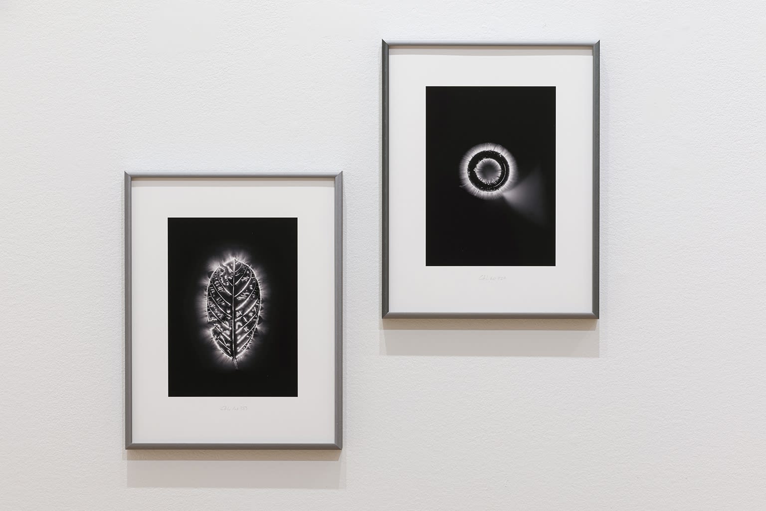 Marie-Jeanne Musiol : Je vois des étoiles au profond du noir