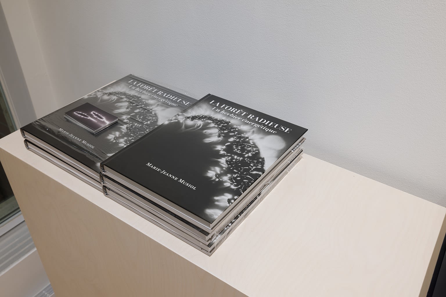 Marie-Jeanne Musiol : Je vois des étoiles au profond du noir