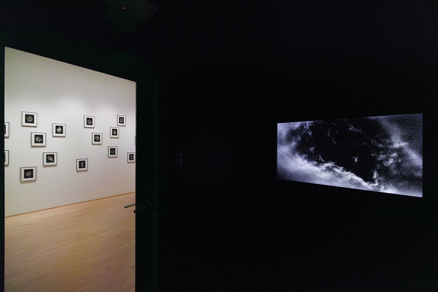 Marie-Jeanne Musiol : Je vois des étoiles au profond du noir