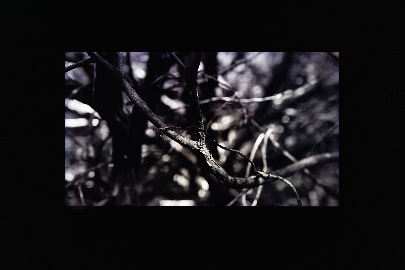 Dil Hildebrand : In the Outside *The gallery will be closed from June 24 to July 1st.