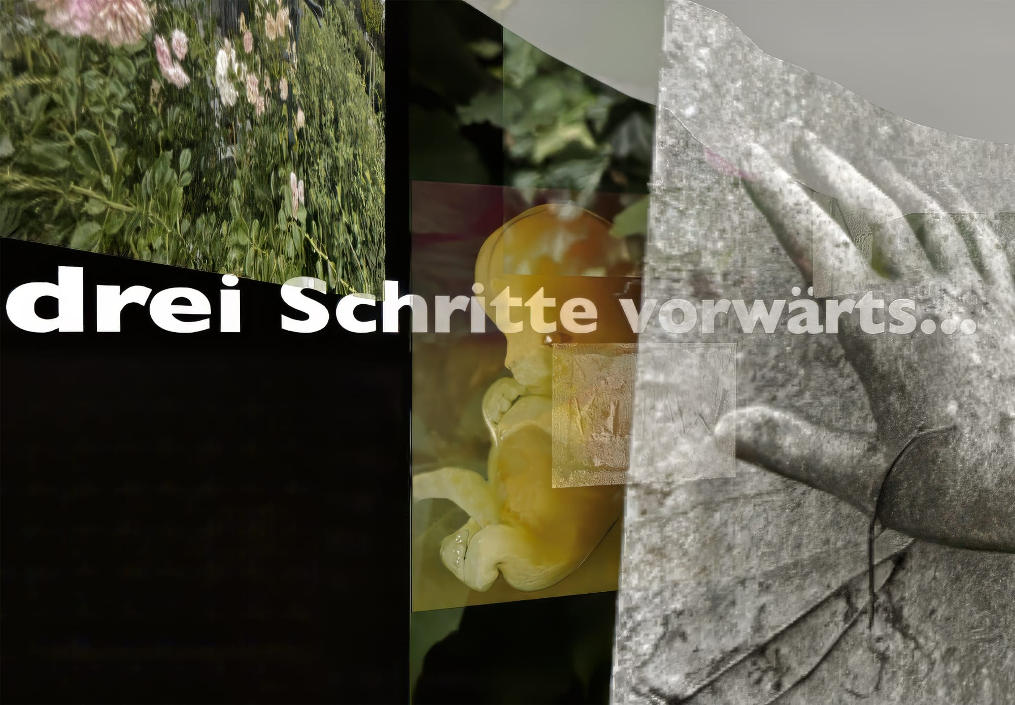 Wien Chiaroscuro: Luc Courchesne (2021-2025)