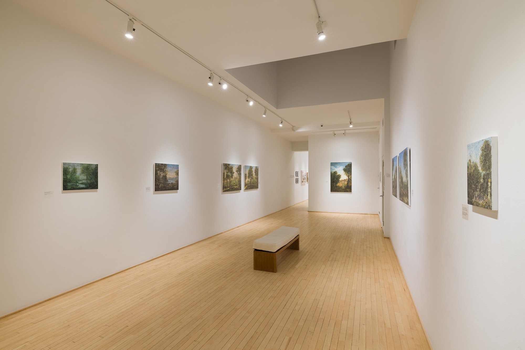 Ripley Whiteside : After Arcadia