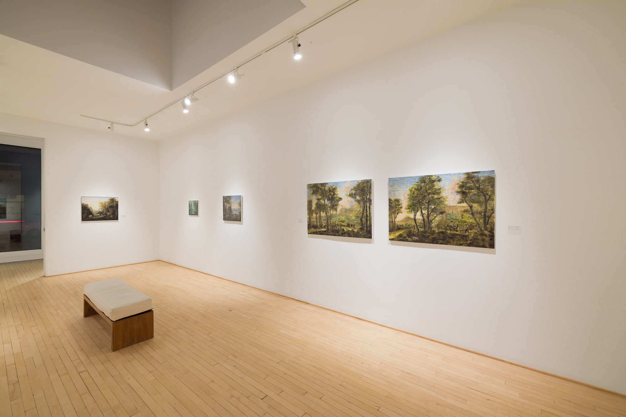 Ripley Whiteside : After Arcadia