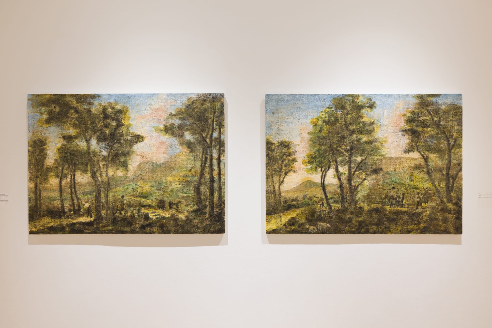 Ripley Whiteside : After Arcadia