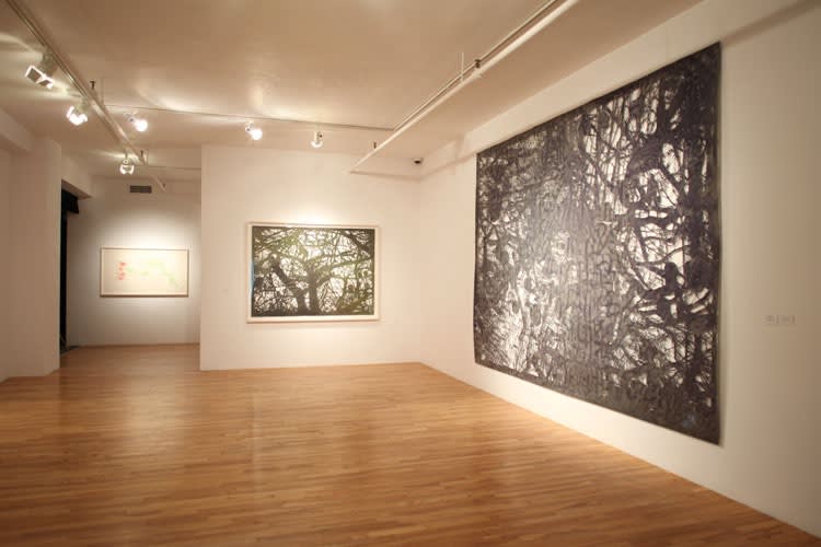 Ed Pien: Treacherous Lines