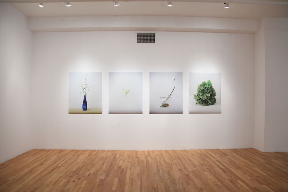 Chih-Chien Wang : Phrases courtes