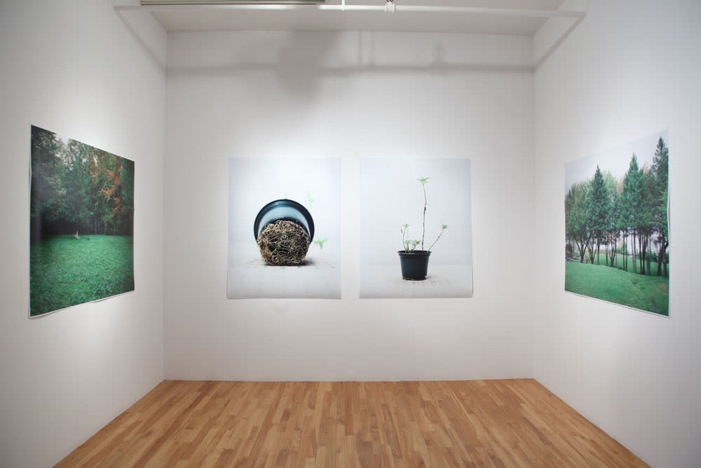 Chih-Chien Wang : Phrases courtes