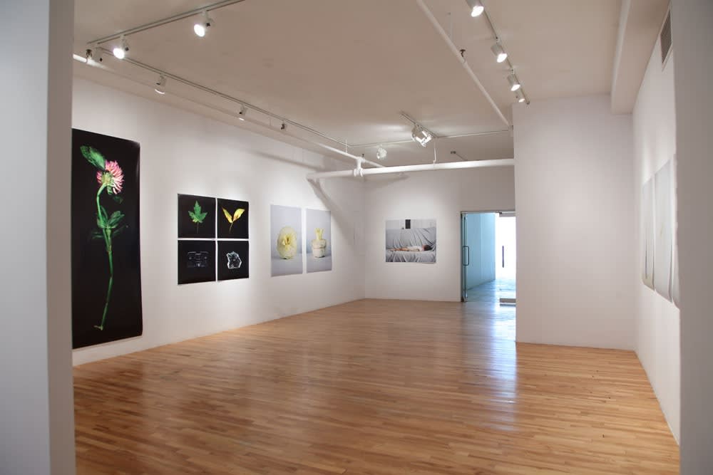 Chih-Chien Wang : Phrases courtes