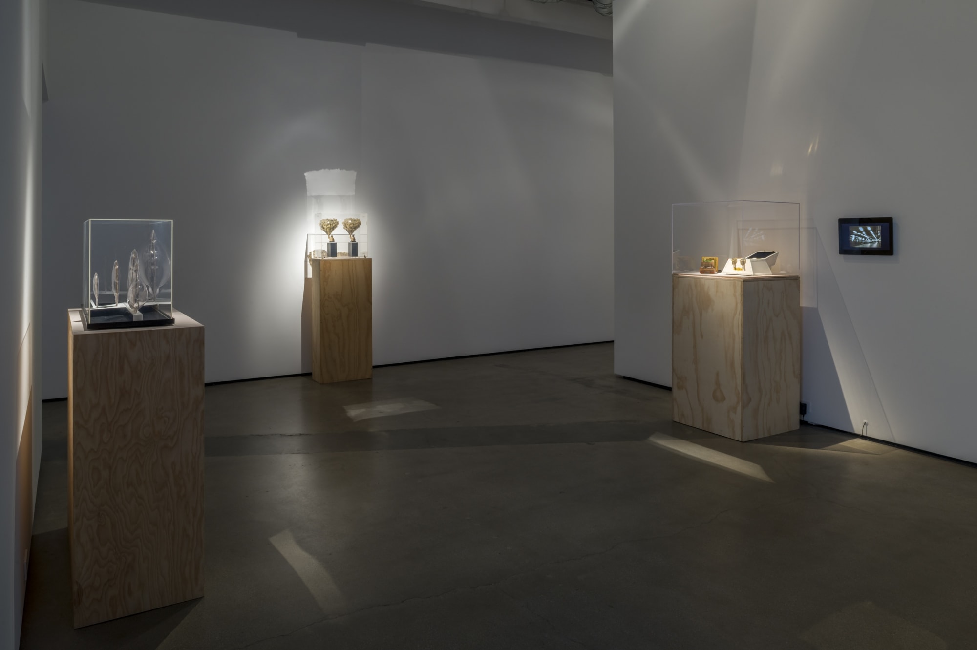 Nature is Everything - Everything is Nature