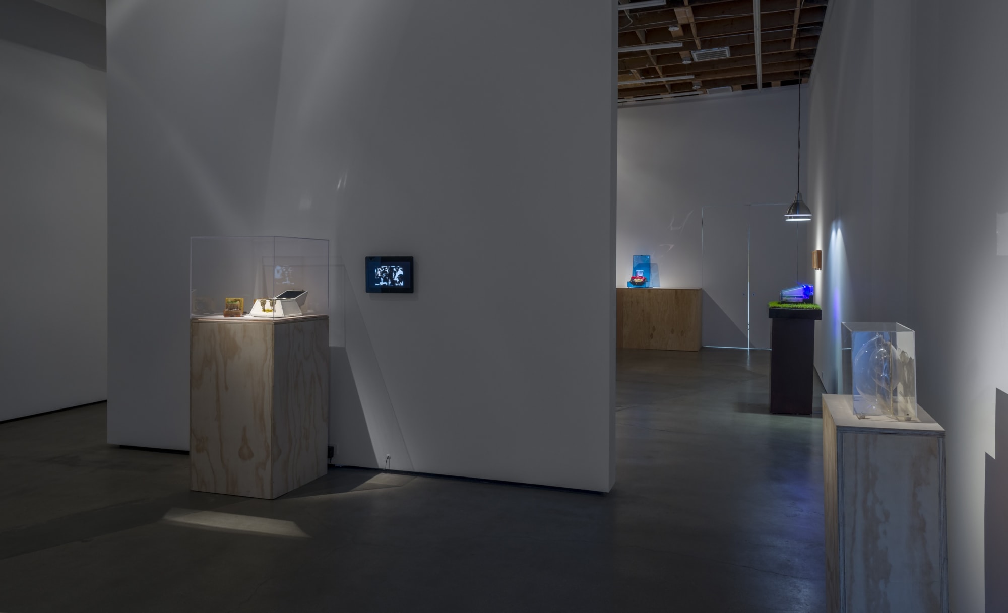 Nature is Everything - Everything is Nature