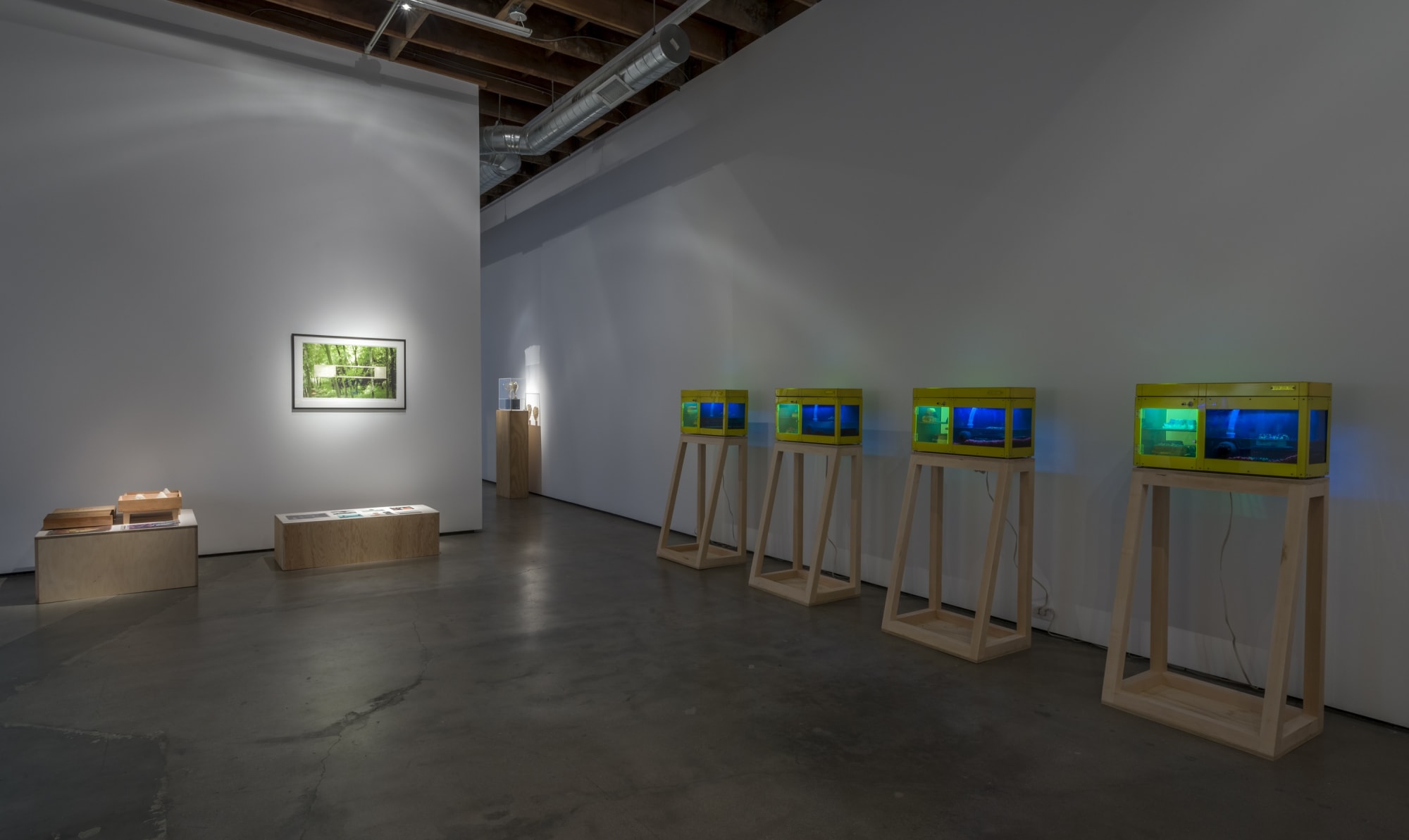 Nature is Everything - Everything is Nature