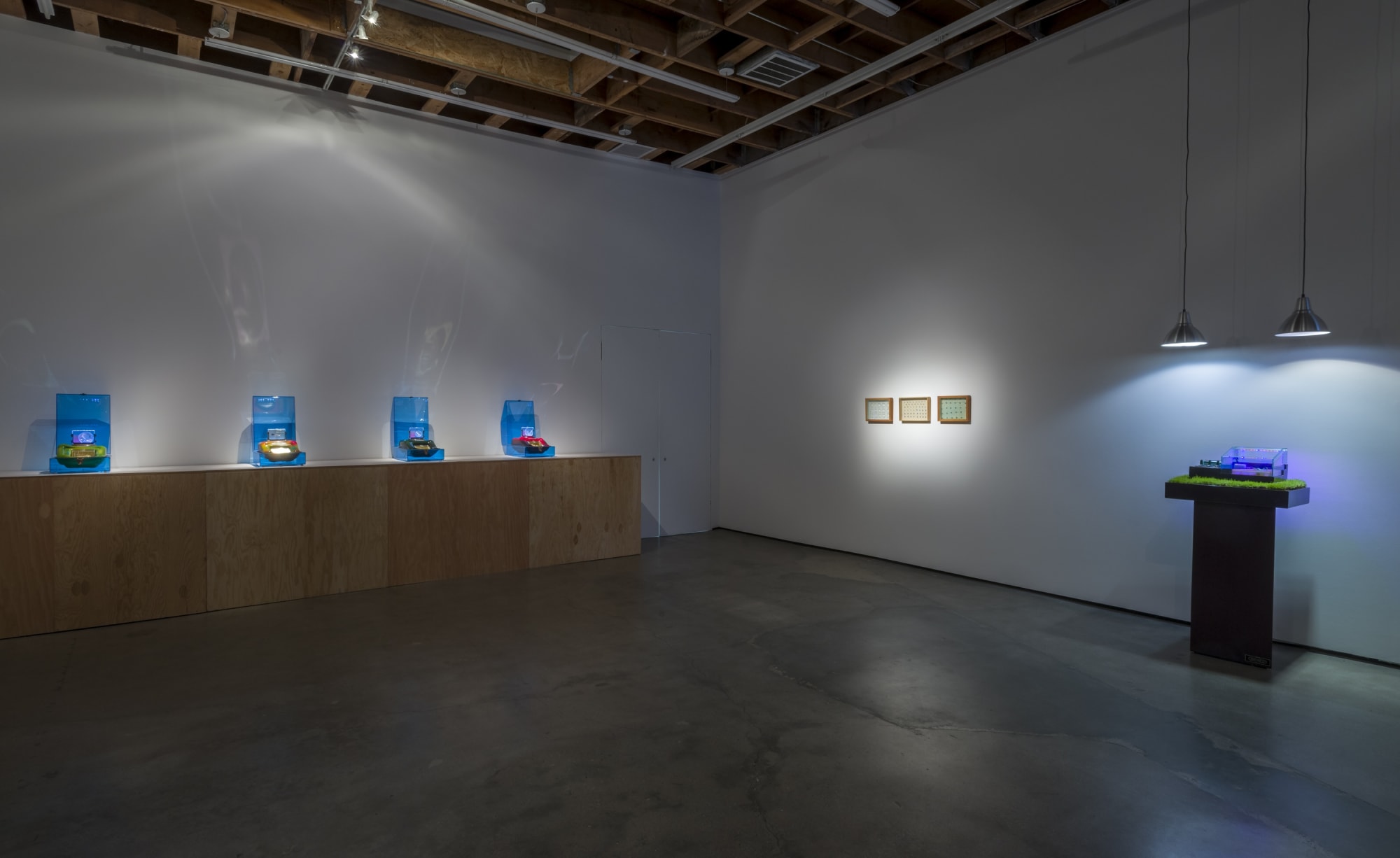 Nature is Everything - Everything is Nature