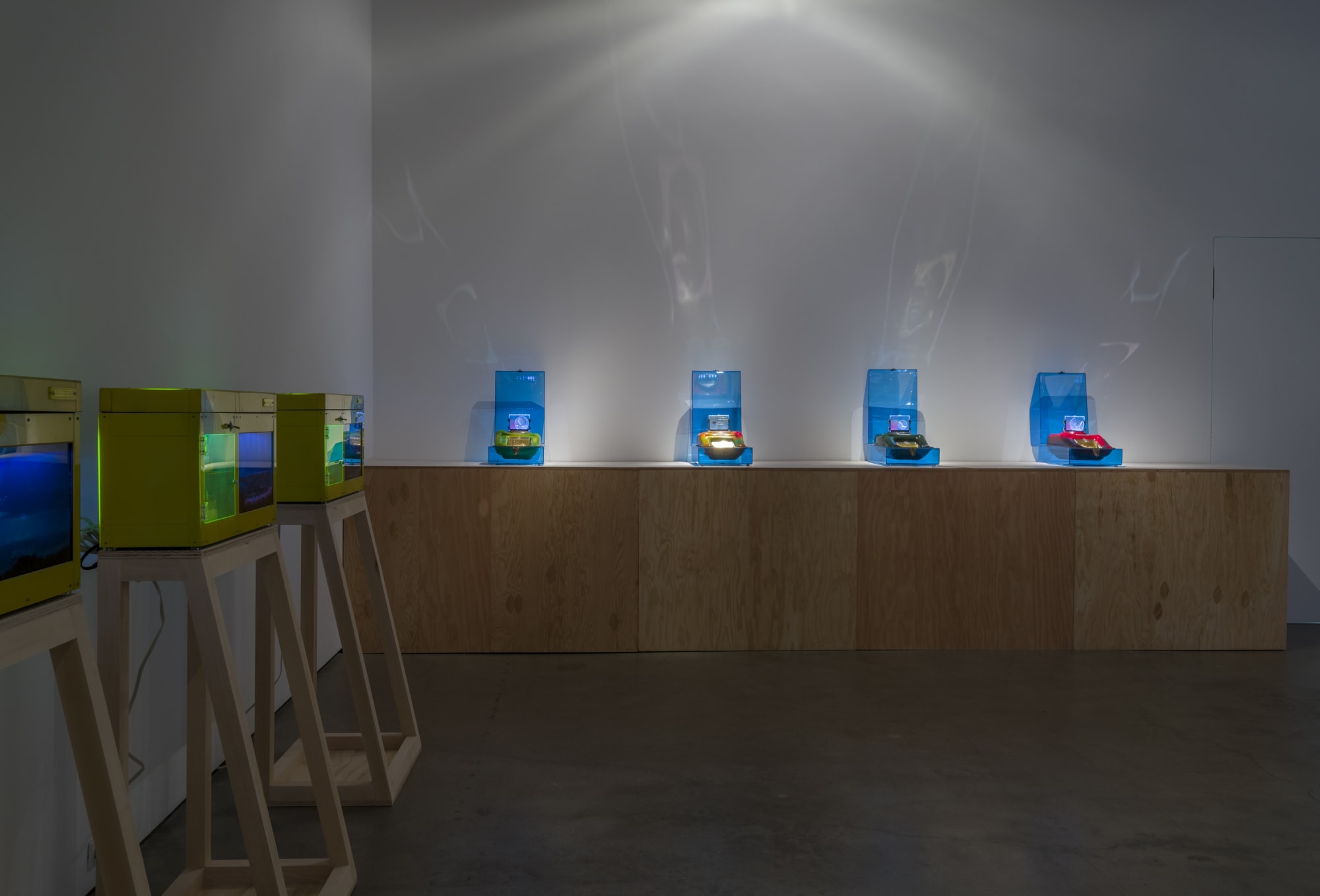 Nature is Everything - Everything is Nature